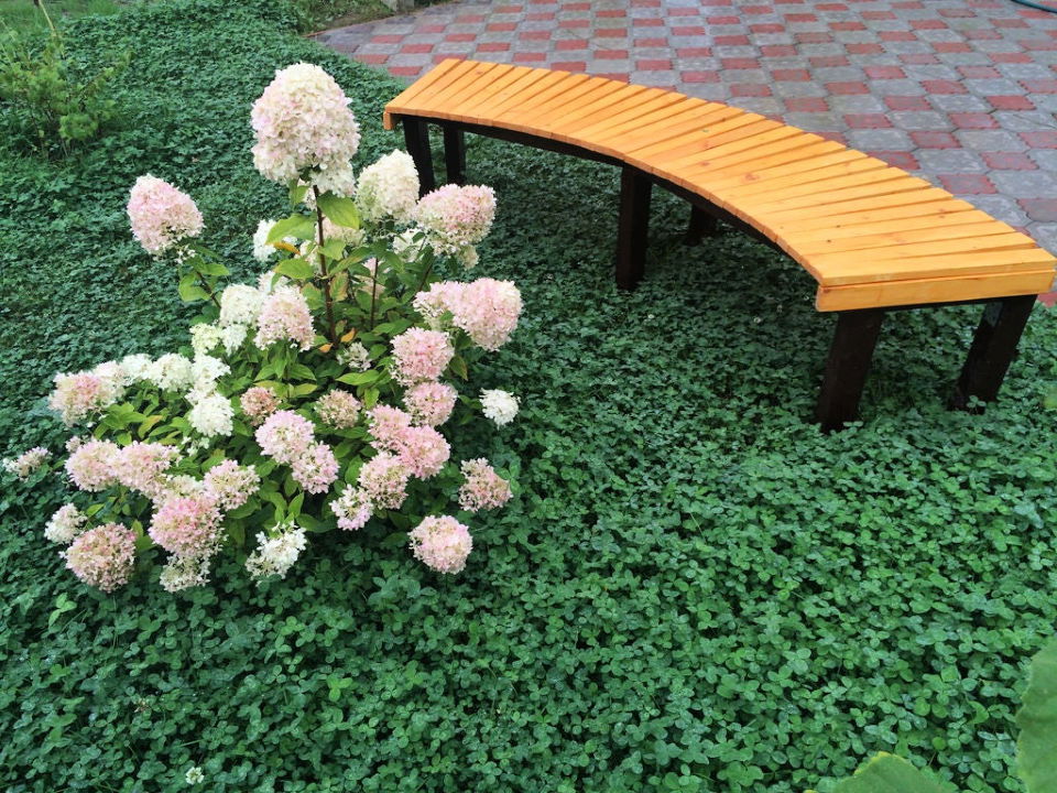 How to Build a Garden Bench