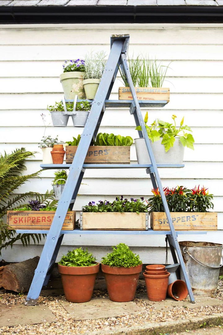 Ladder Plant Stand