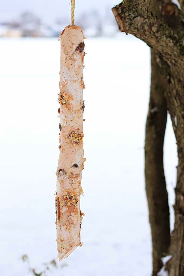 Rustic Log Bird Feeder