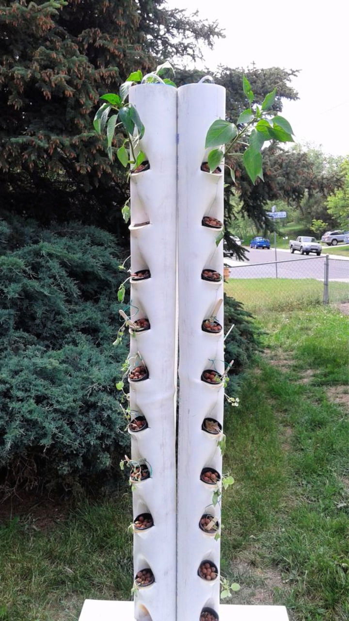 Aquaponic Vertical Garden