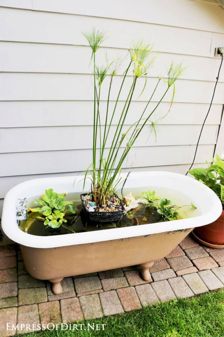 DIY Bathtub Fish Pond