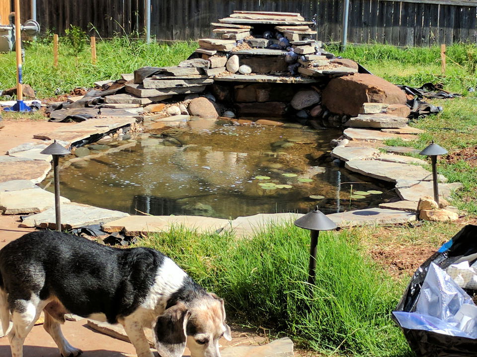 Build a Backyard Pond