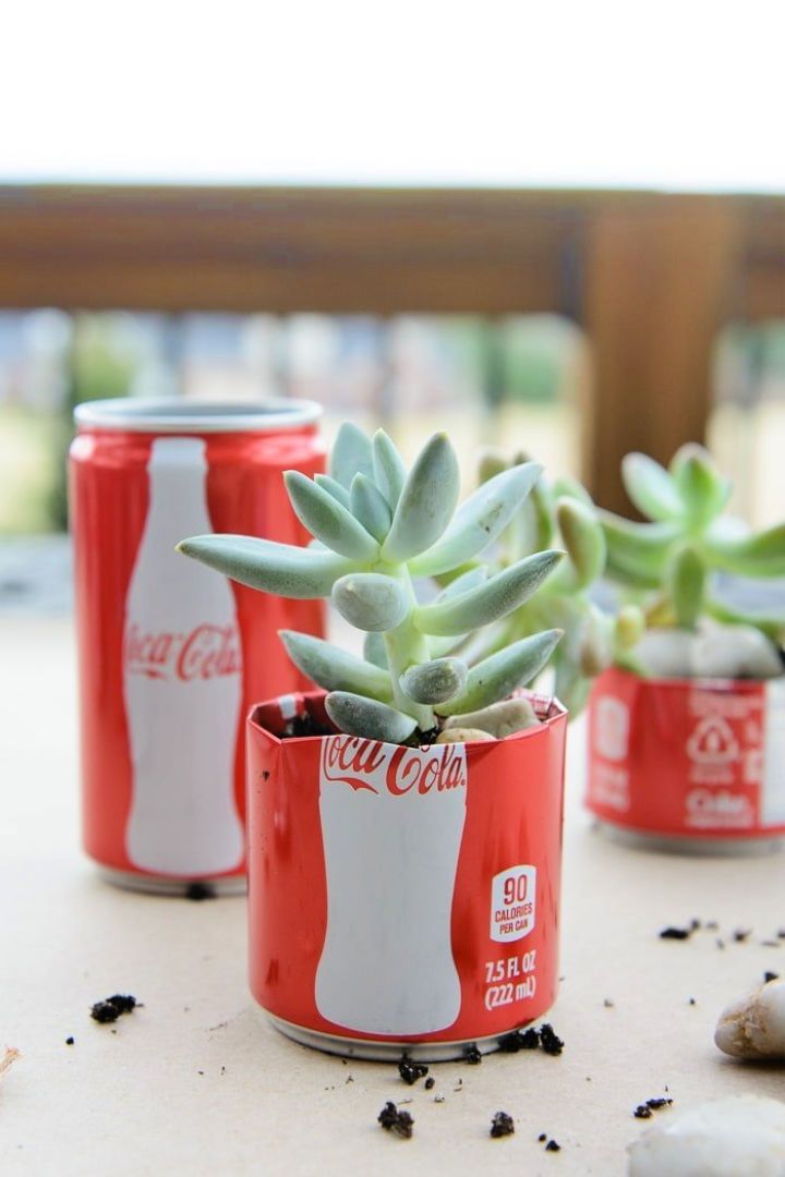 Coke Can Succulent Planter