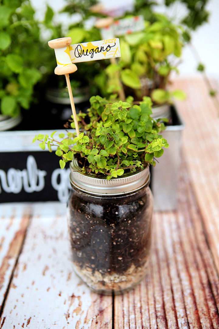 DIY Mason Jar Garden