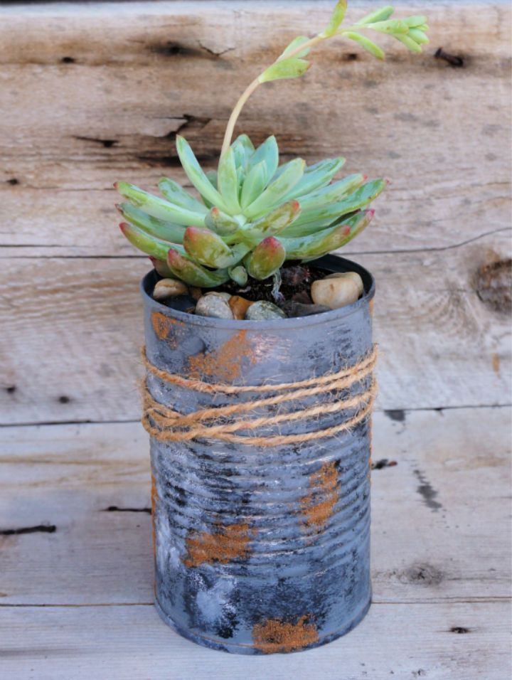 DIY Tin Can Planters