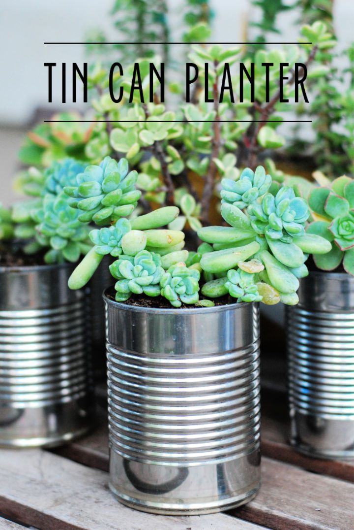 DIY Tin Can Succulent Planters