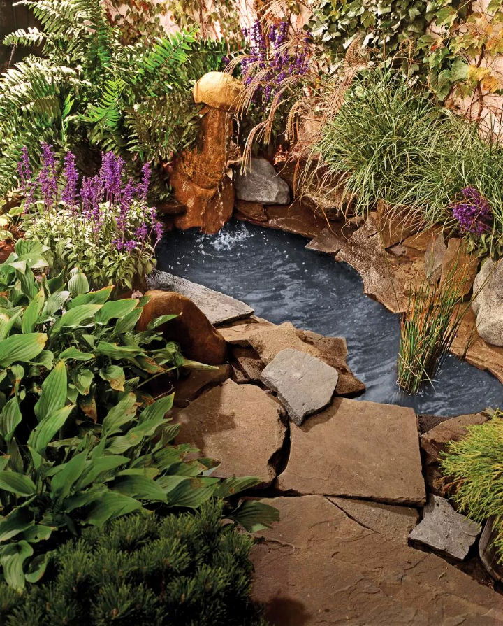 backyard pond ideas