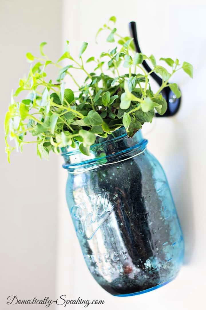  Indoor Window Herb Garden