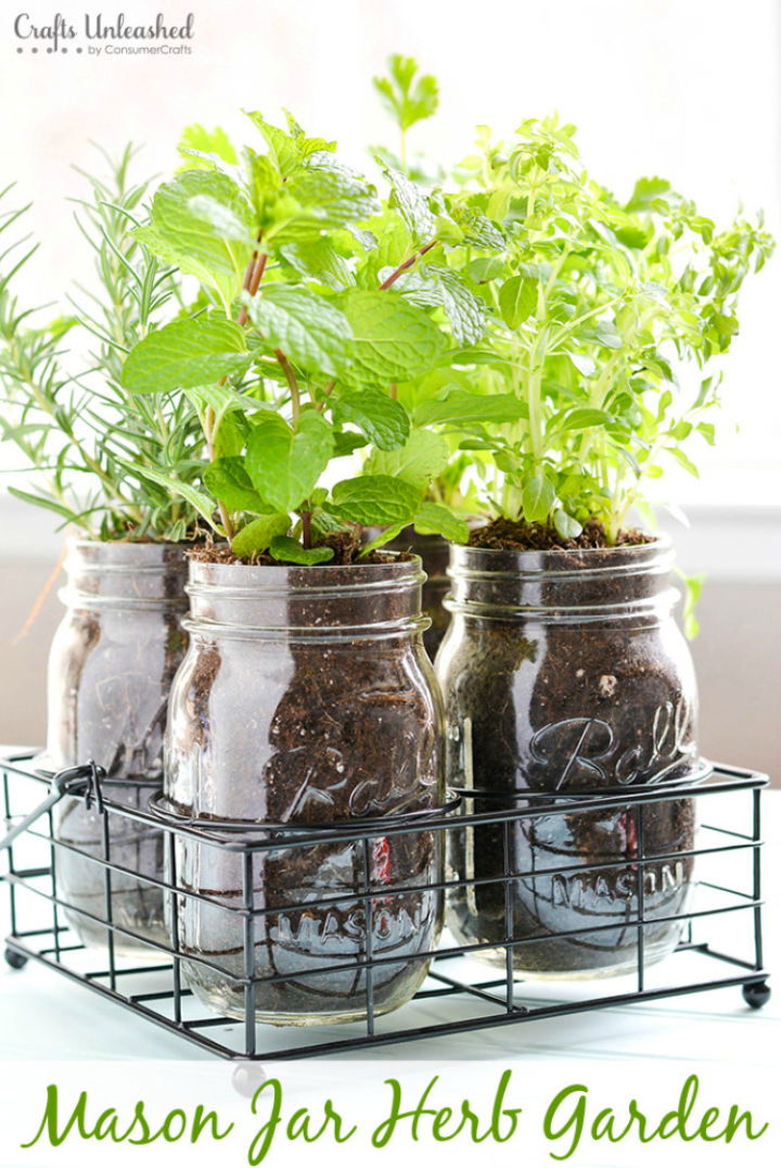 Herb Garden in Mason Jars