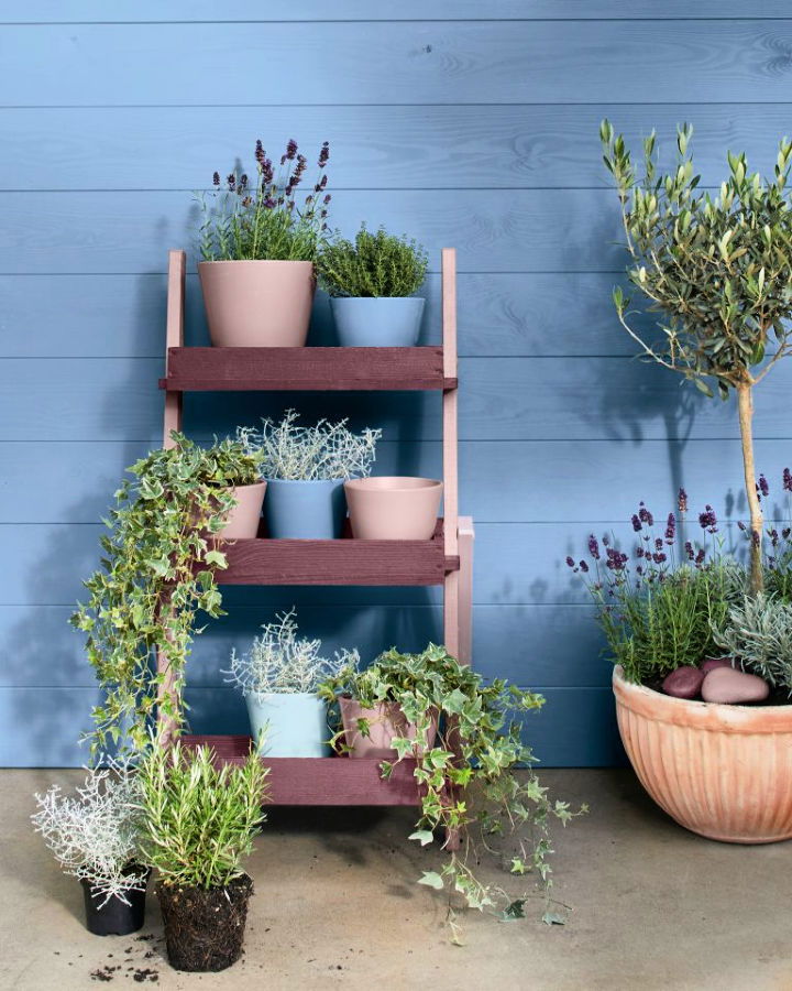 20 Beautiful DIY Ladder Plant Stand Ideas - Suite 101