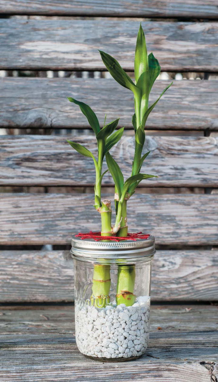 Mason Jar Bamboo Water Garden