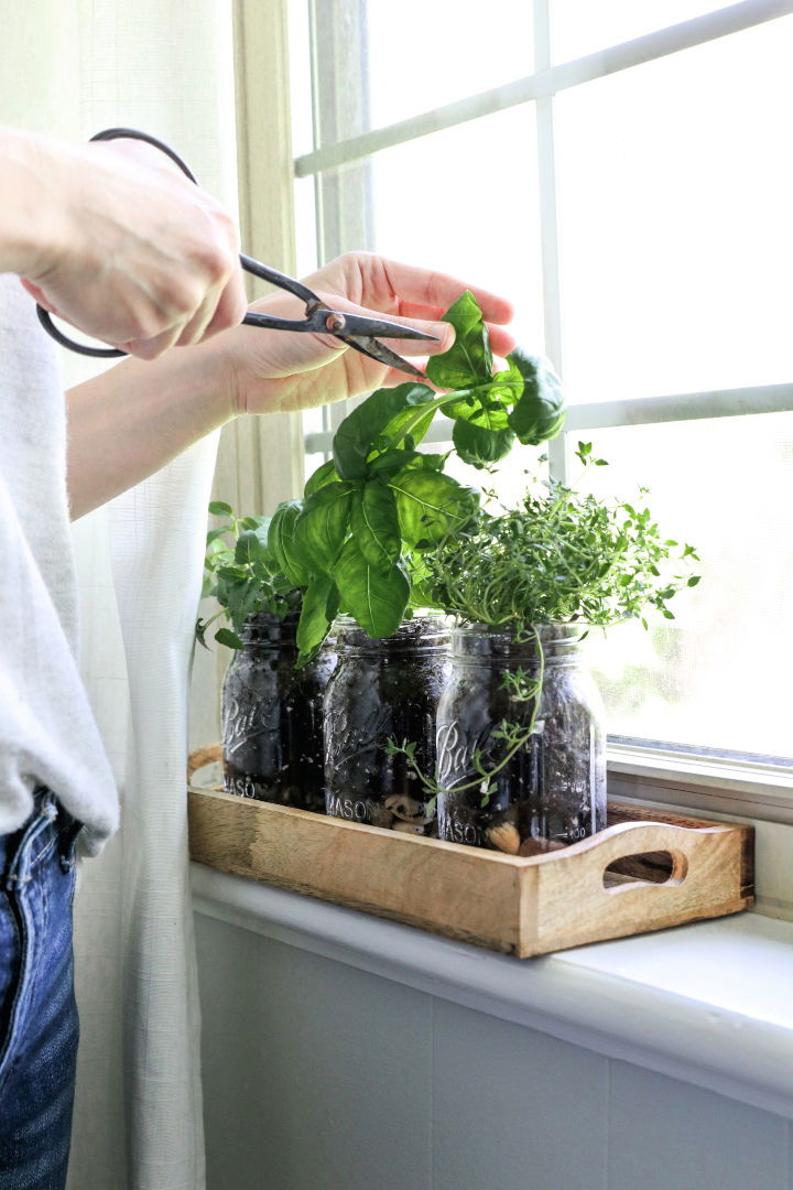 Mason Jar Fresh Herb Garden