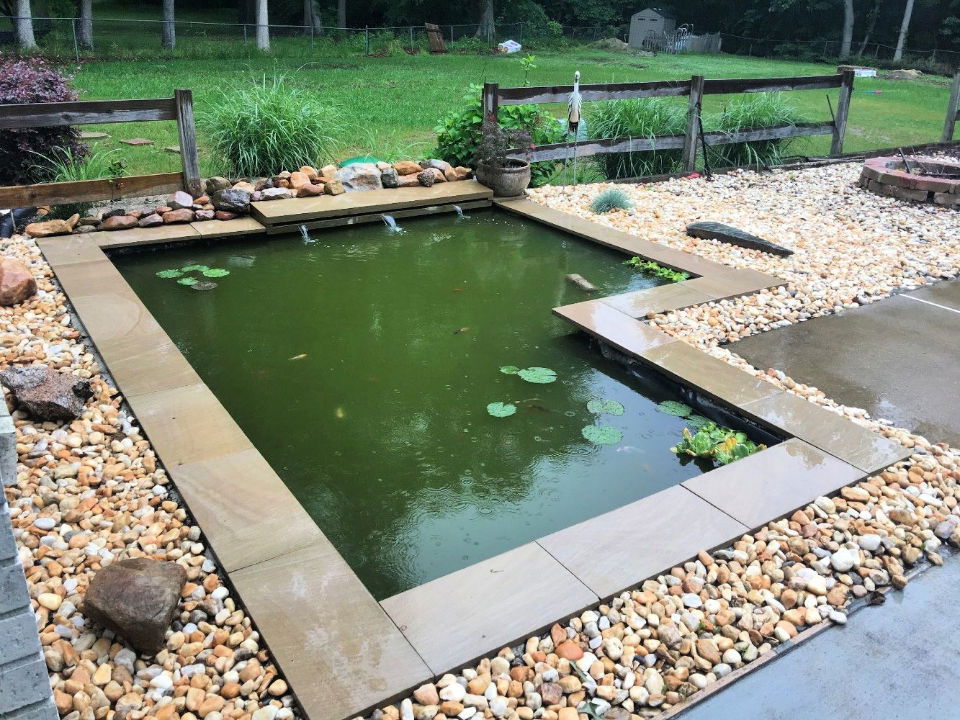 Modern Backyard Koi Pond