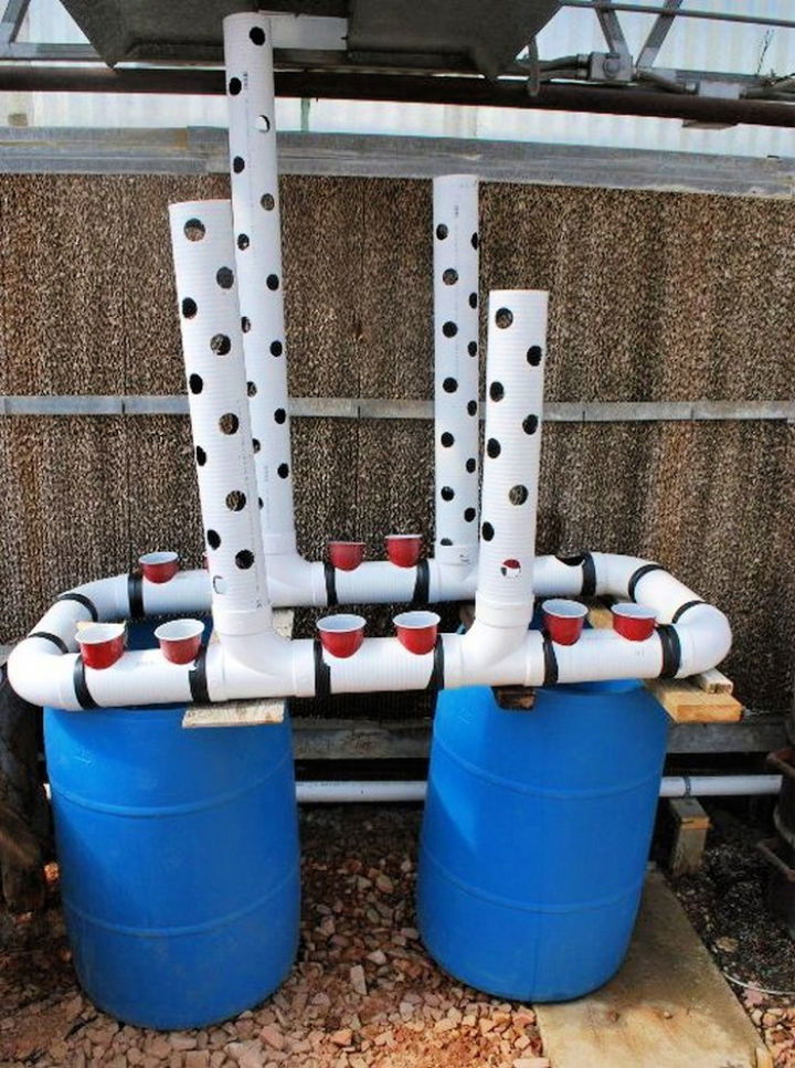 PVC Aquaponic System