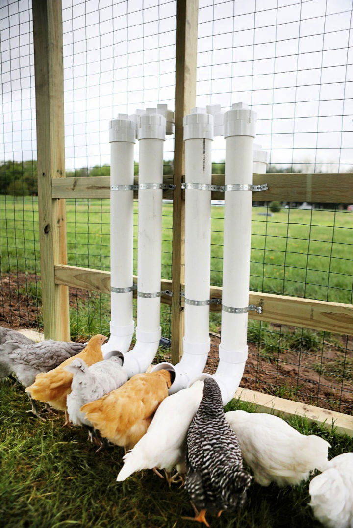 PVC Chicken Feeders