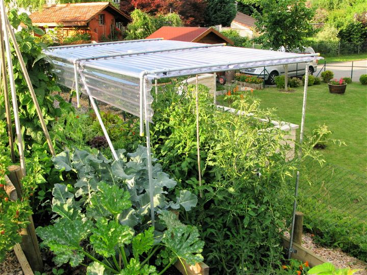 PVC Shelter for Growing Tomatoes
