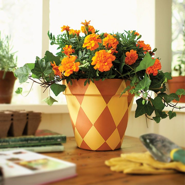 Make a Painted Terra-Cotta Flower Pot