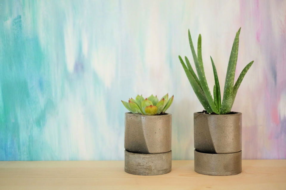 Self Watering Concrete Planter