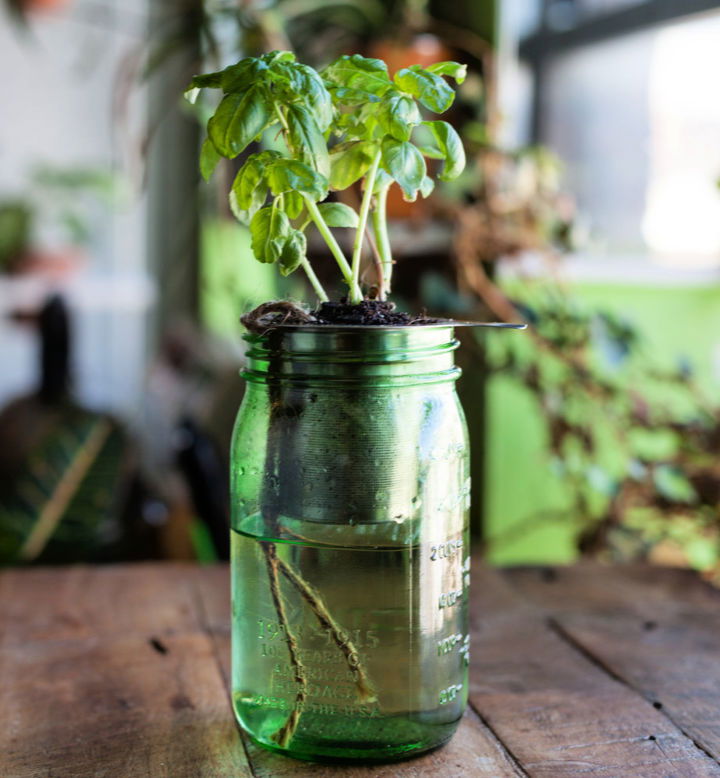 Self Watering Mason Jar Planter