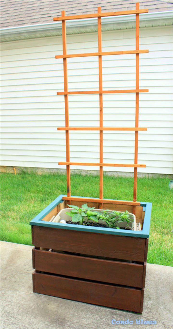 Self Watering Planter Box and Trellis