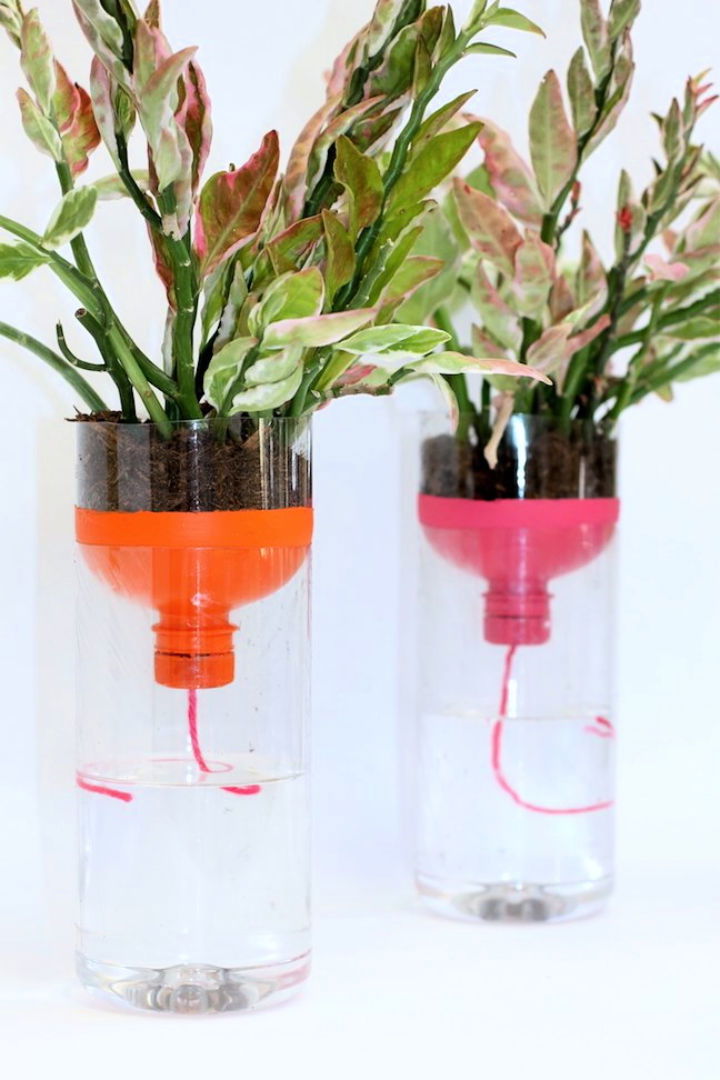 Self Watering Plastic Bottle Planters