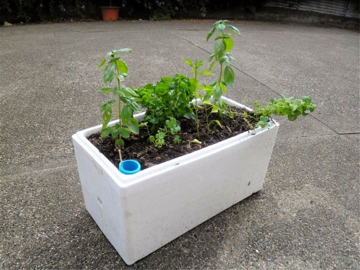 Self watering Planter Box