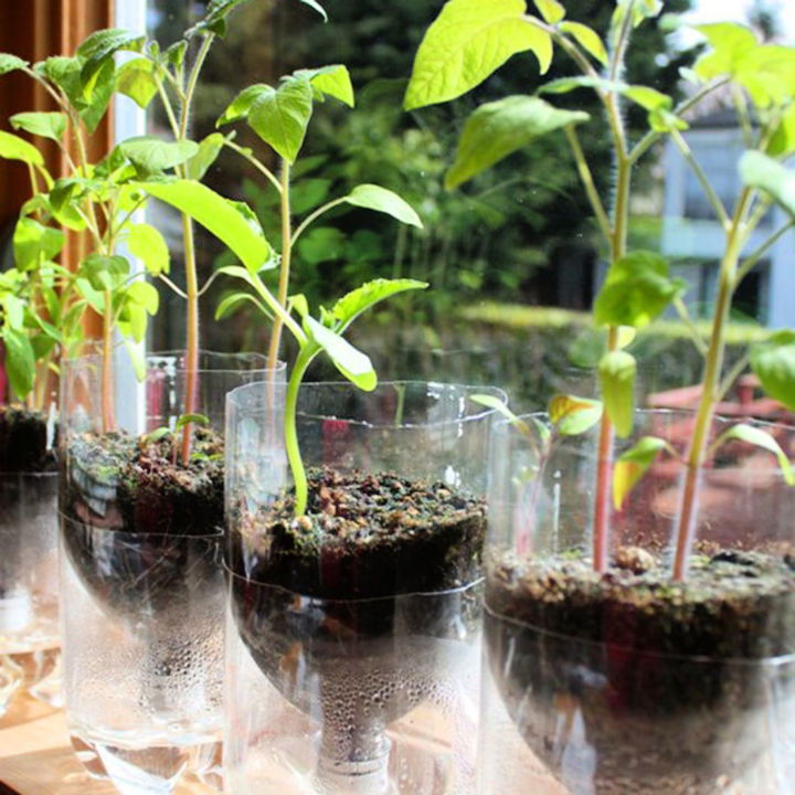 Self watering Seed Starter Pots