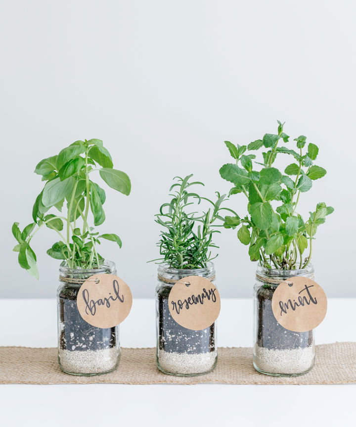 Spring Mason Jar Herb Garden