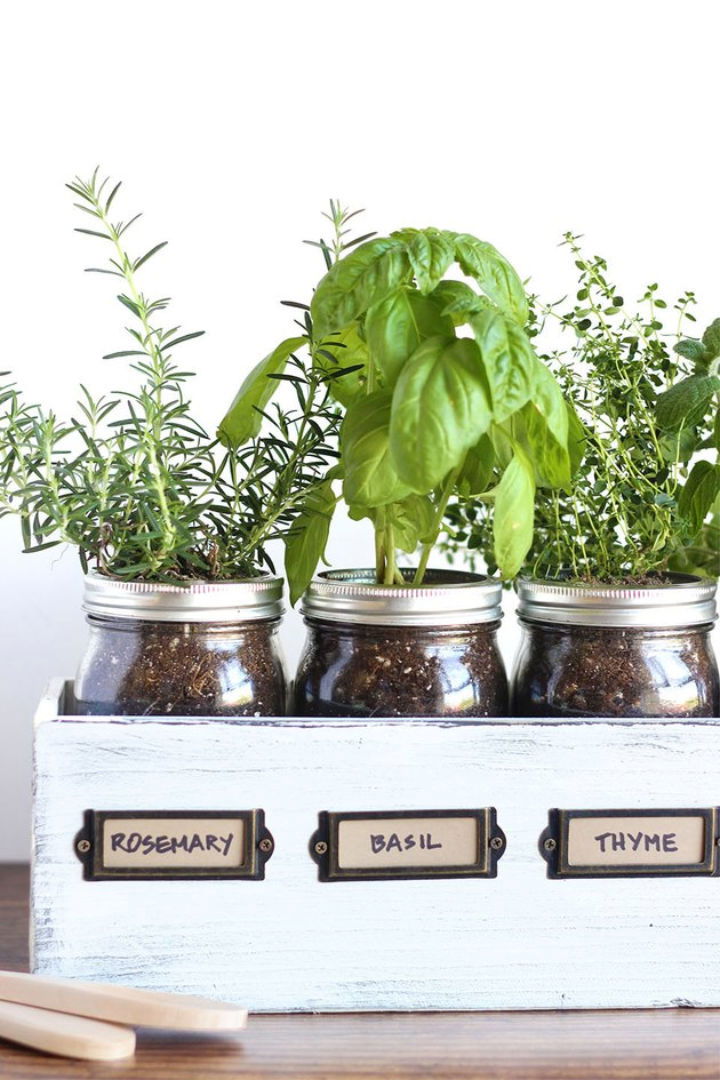 Stylish Mason Jar Garden