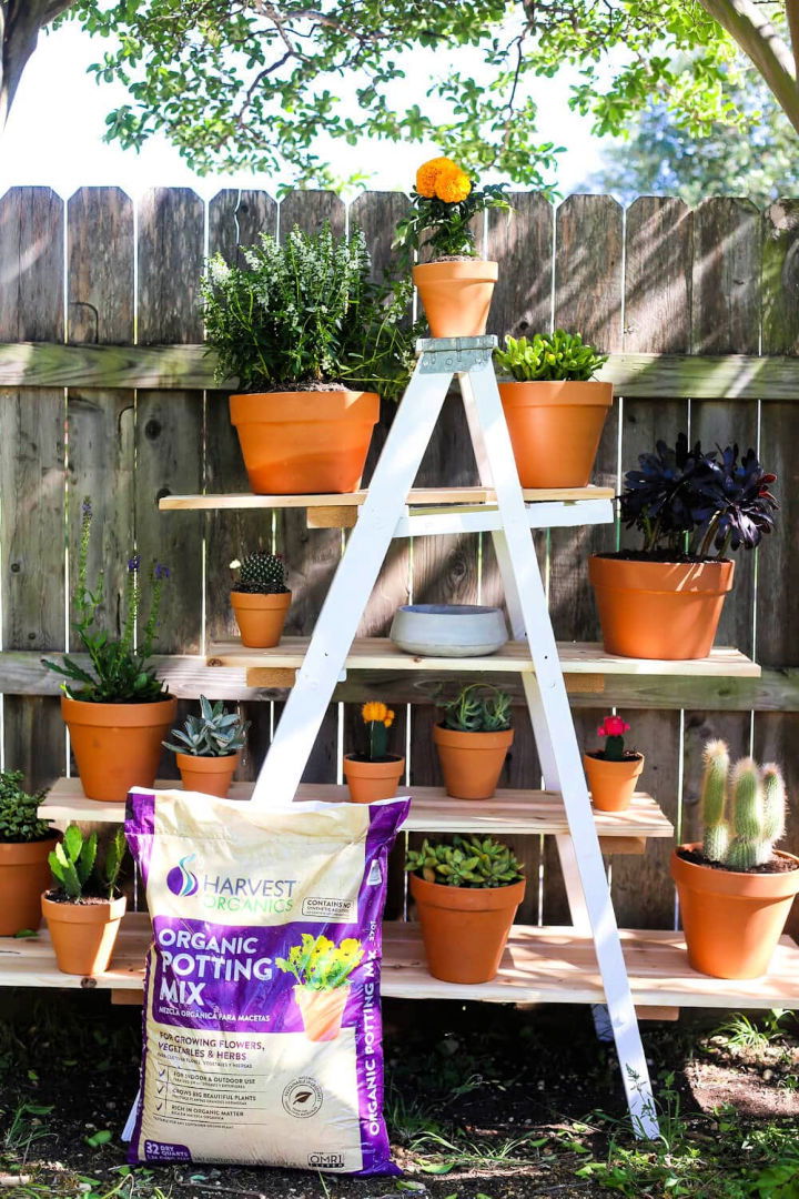 Tiered Ladder Planter Stand Plan