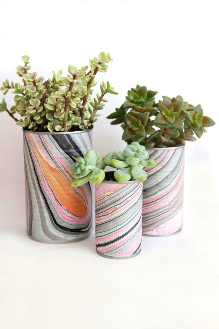 Tin Can Succulent Planters