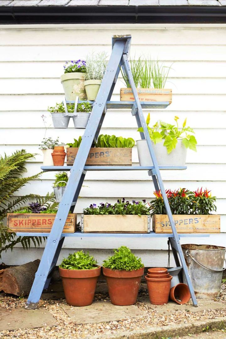 Towering Ladder Planter Stand