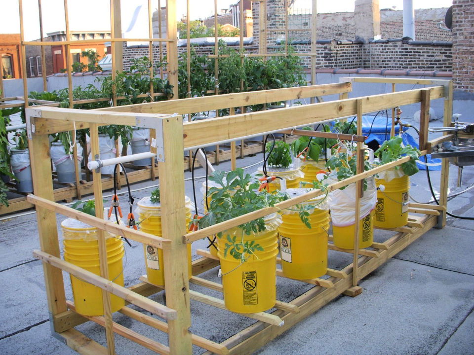 Two Bucket Sub irrigated Planter