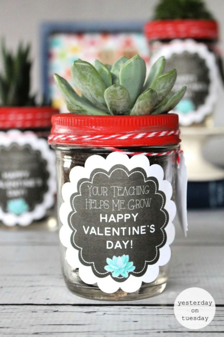 Mason Jar Succulent Gift for Valentine’s Day