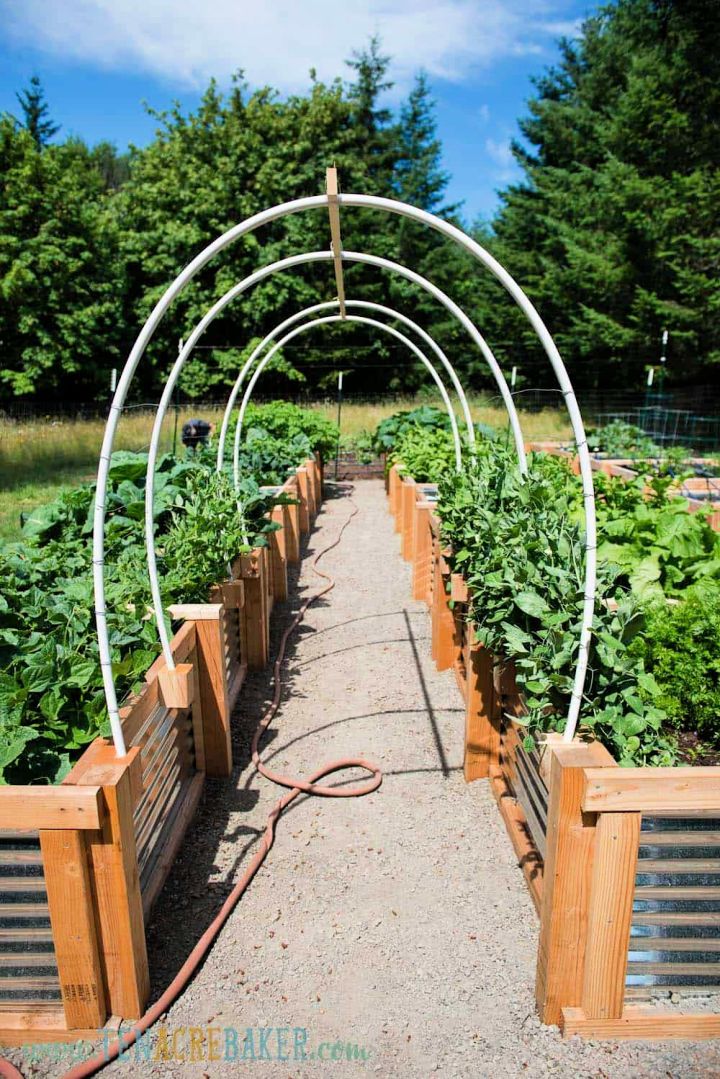 Vegetable Garden Trellis Using PVC