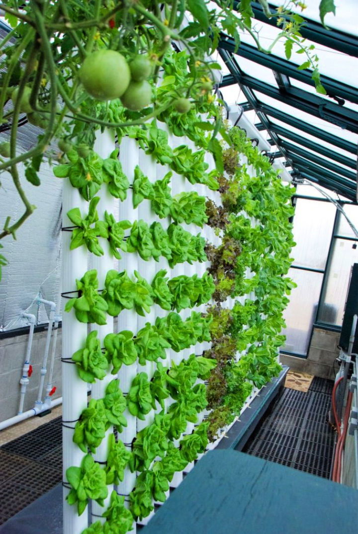 Vertical Aquaponics System