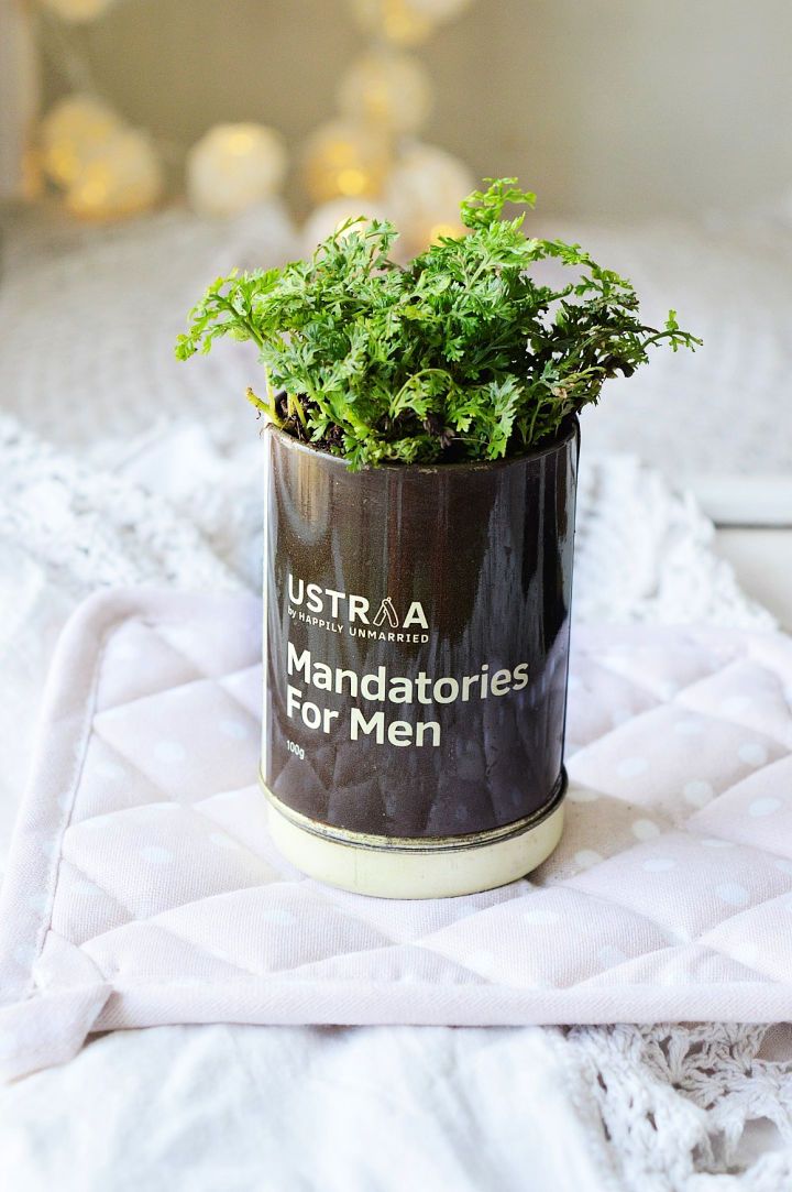 Vintage Tin Can Planters
