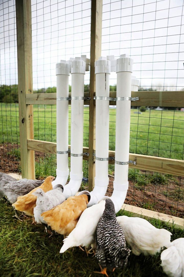 PVC Pipe Chicken Feeders
