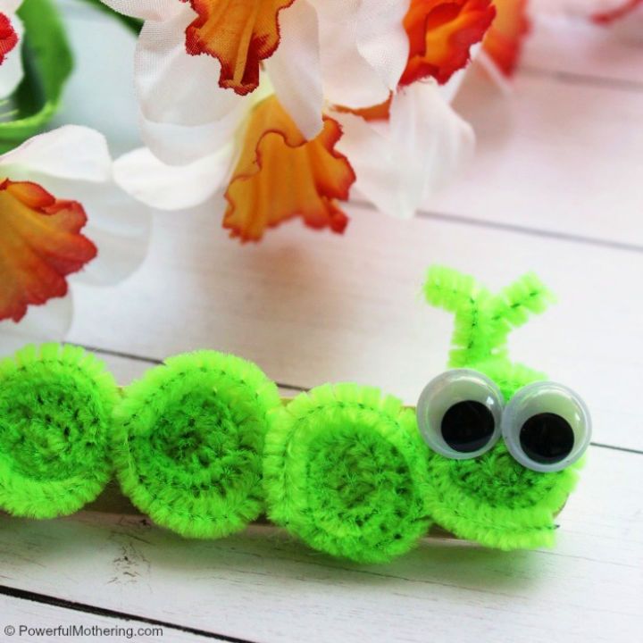 Pipe Cleaner Inchworm Animal