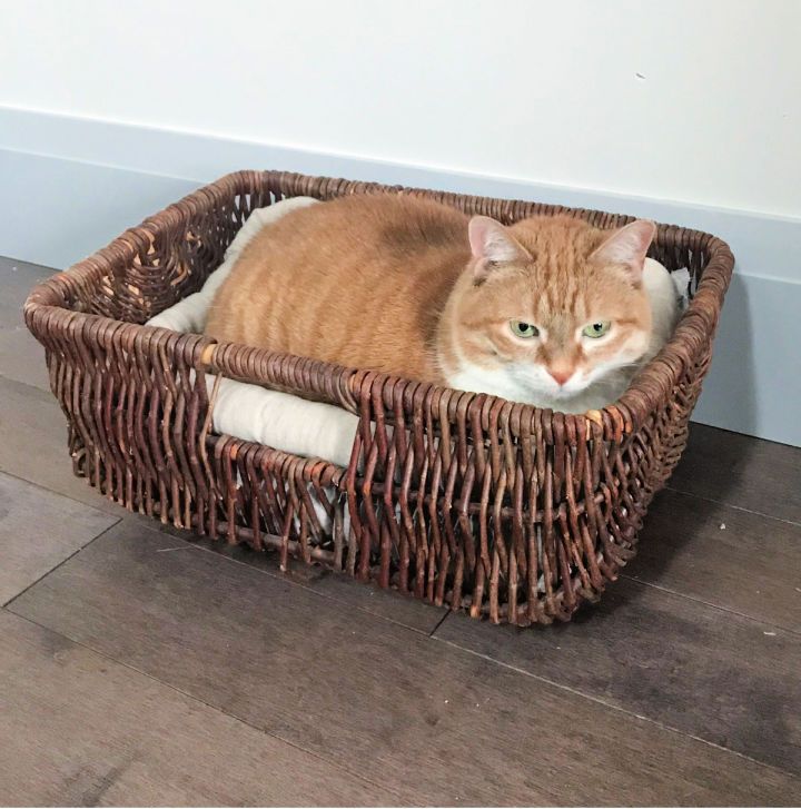 Basket Cat Bed Idea