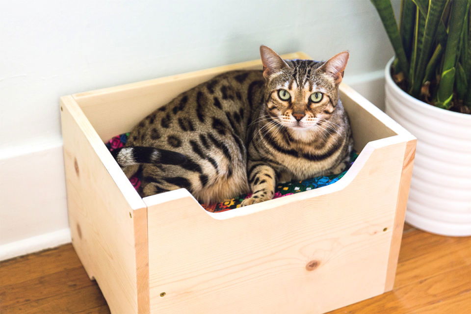 How to Build a Cat Bed