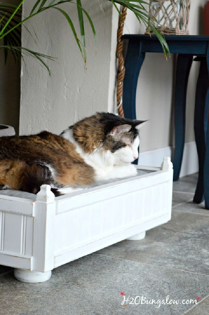 Free Wooden Cat Bed Plan
