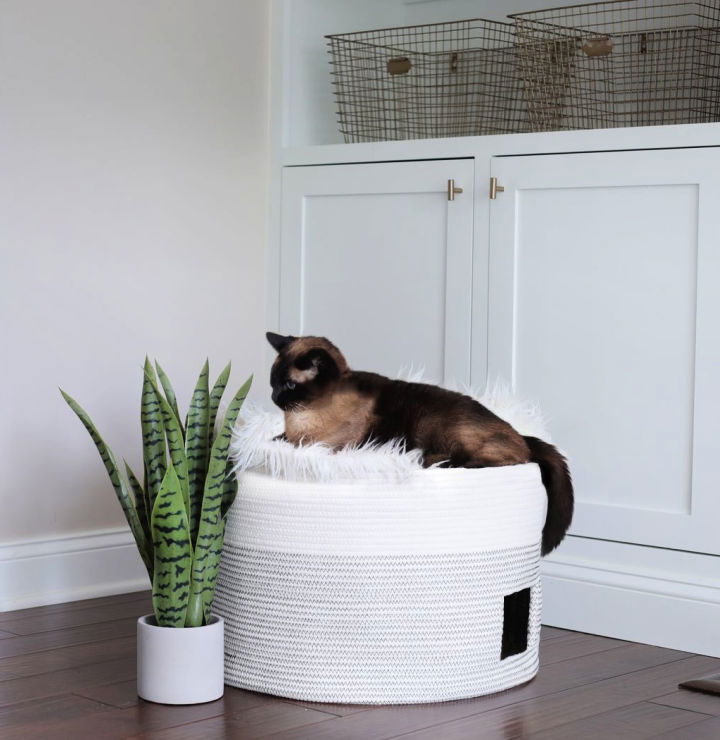 25 DIY Cat Bed Ideas You Can Make - Suite 101