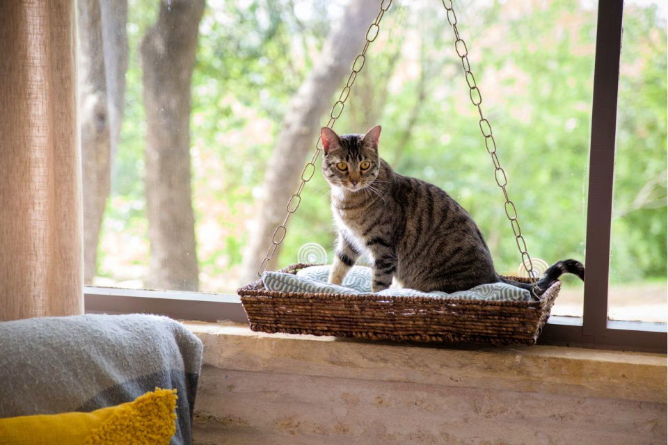 Cat Window Seat Bed