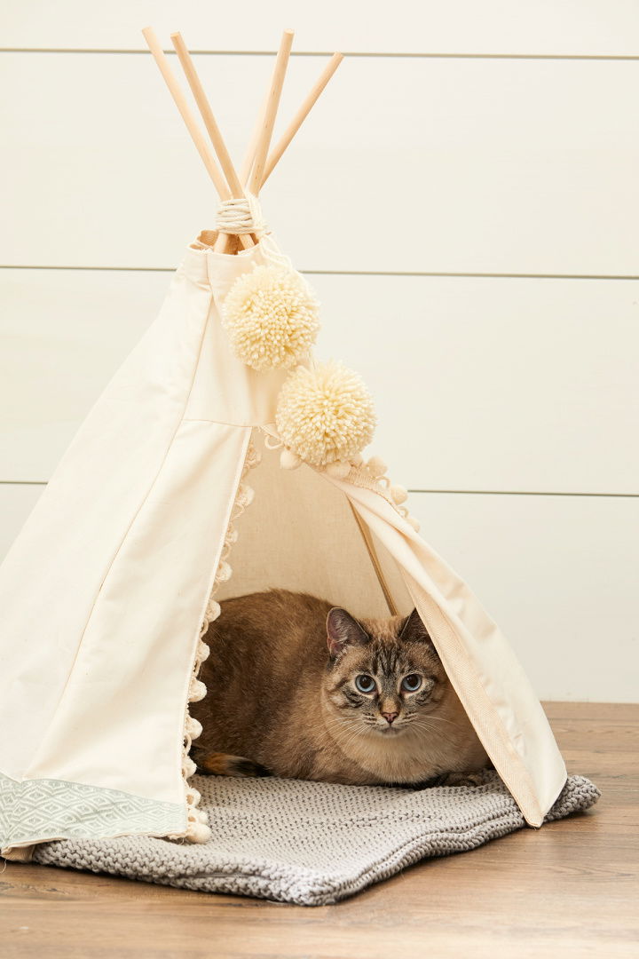 DIY Cat Teepee Bed