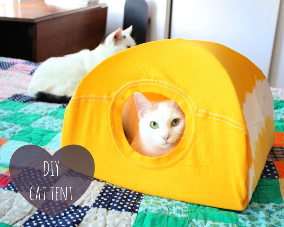 25 DIY Cat Bed Ideas You Can Make - Suite 101