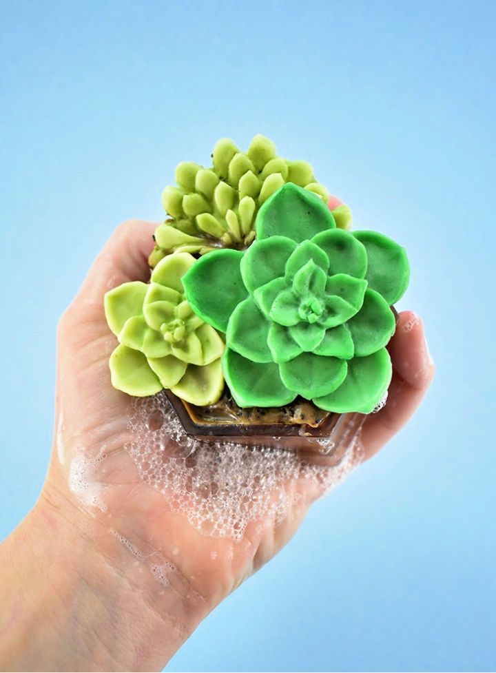 DIY Succulent Soap
