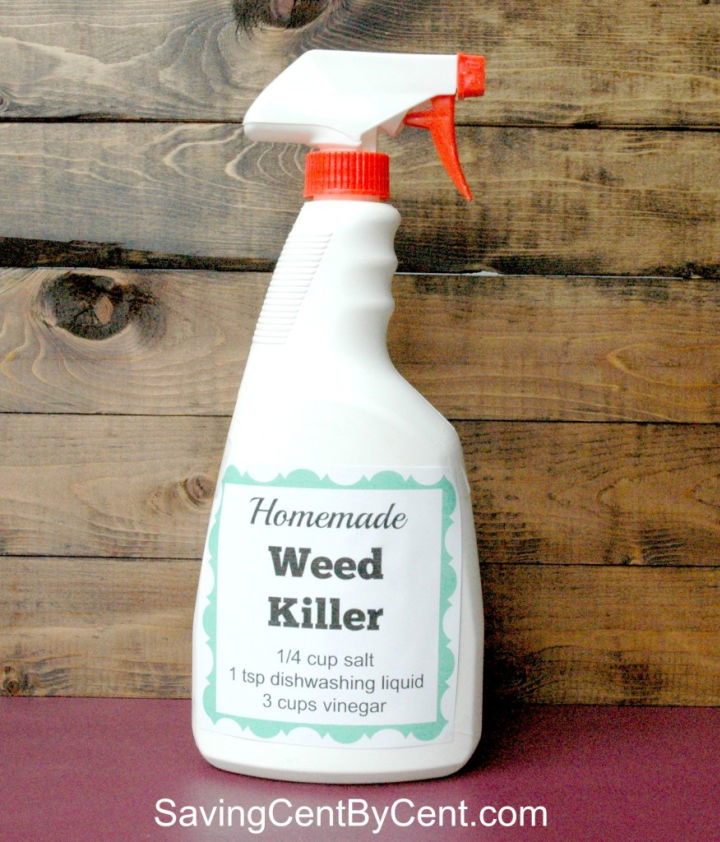 Easy DIY Weed Killer