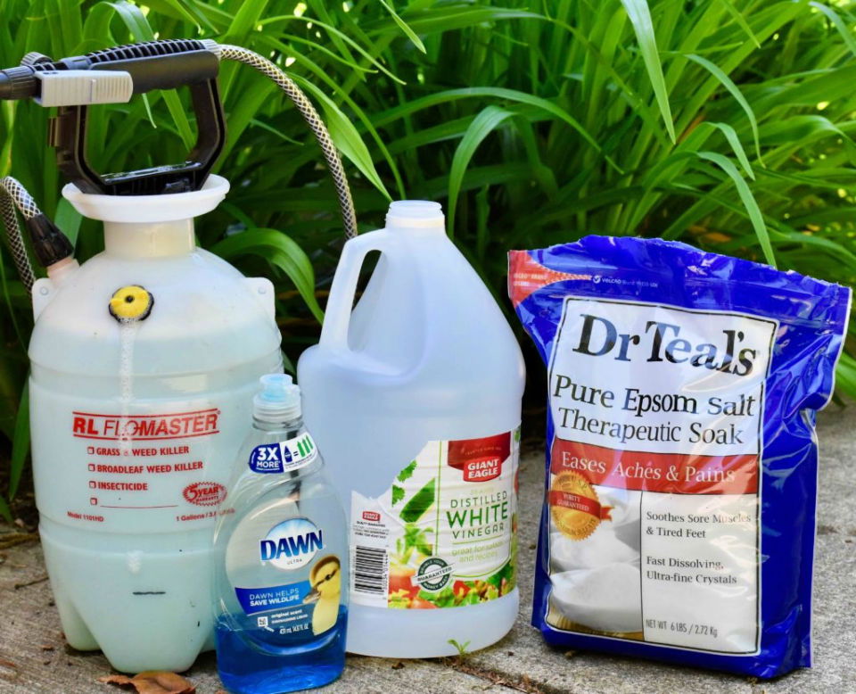 Easy Homemade Weed Killer