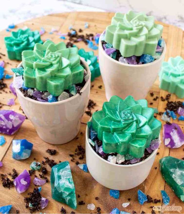Succulent Soap with Soap Crystals